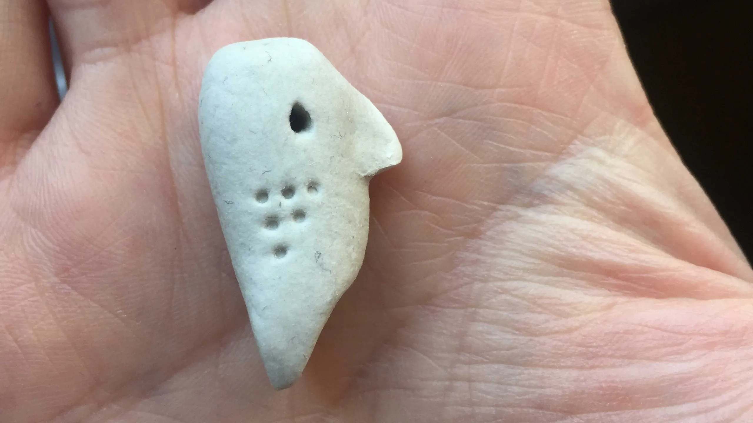 A small, pale stone shaped like a bird's head, with a hole near the top and a pattern of dots, resting on an open palm.