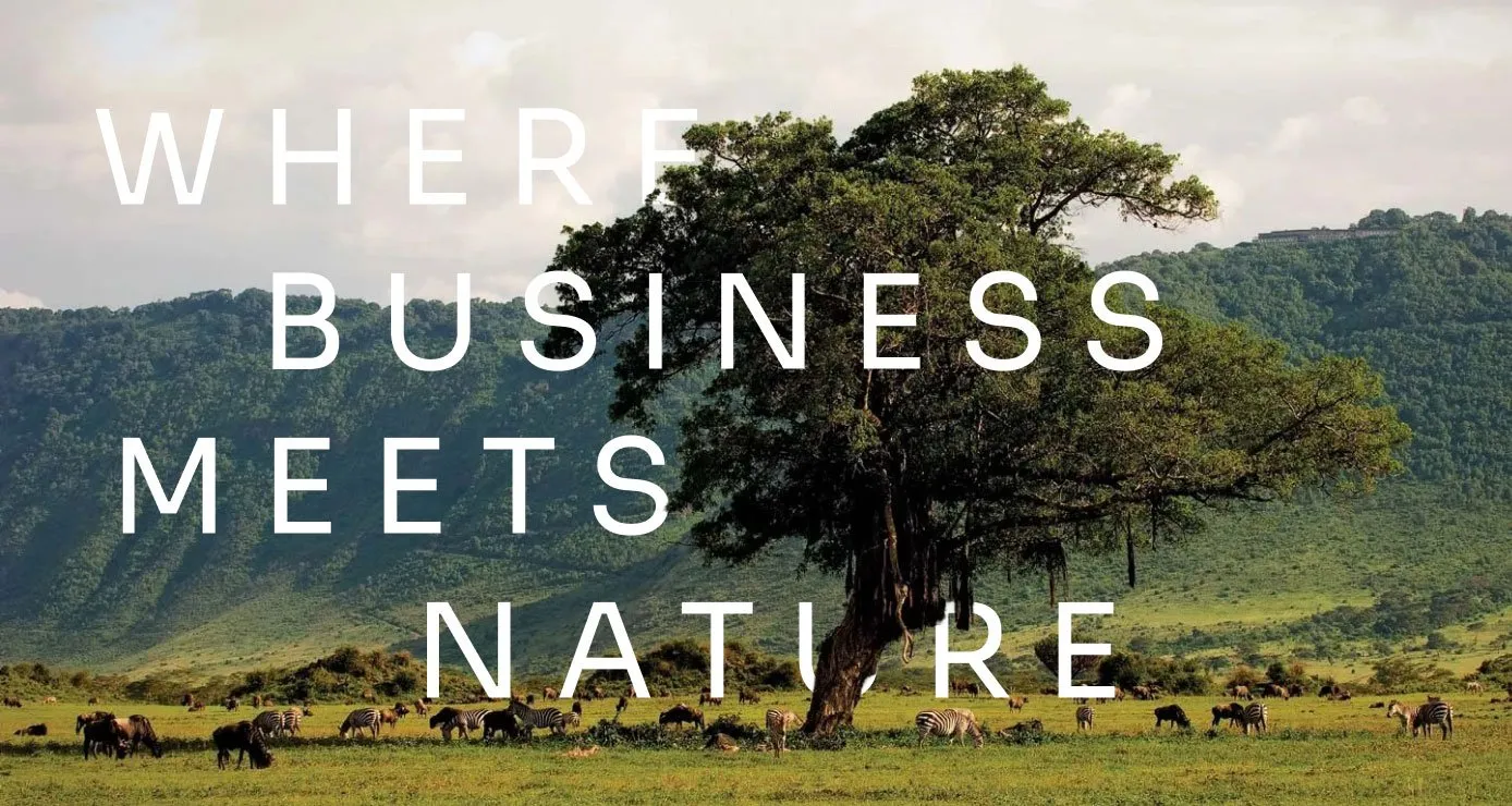 A large tree stands in a grassy field with mountains in the background. Zebras and other animals graze nearby. White text across the image reads WHERE BUSINESS MEETS NATURE.