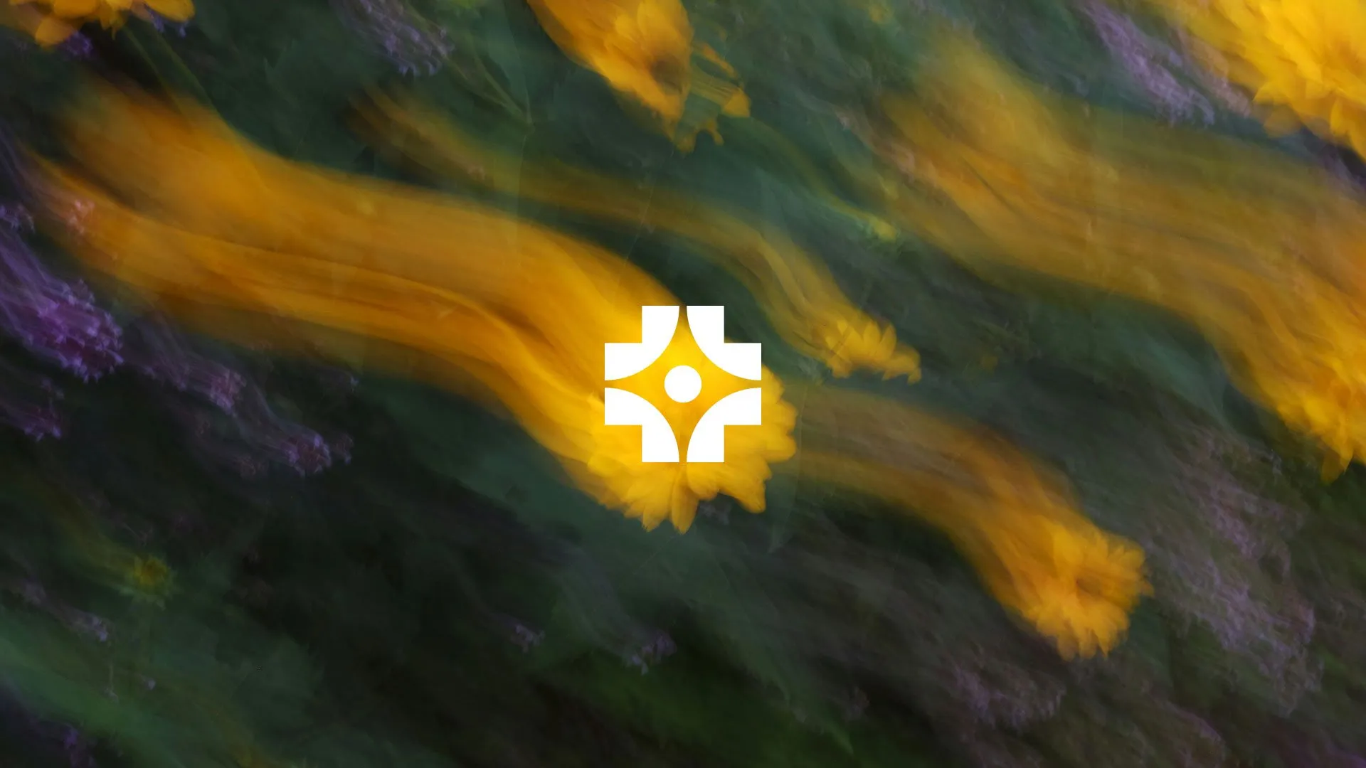 Blurred yellow and purple flowers sweeping across dark green foliage in motion streaks, with a white geometric flower-like logo centered on the image.